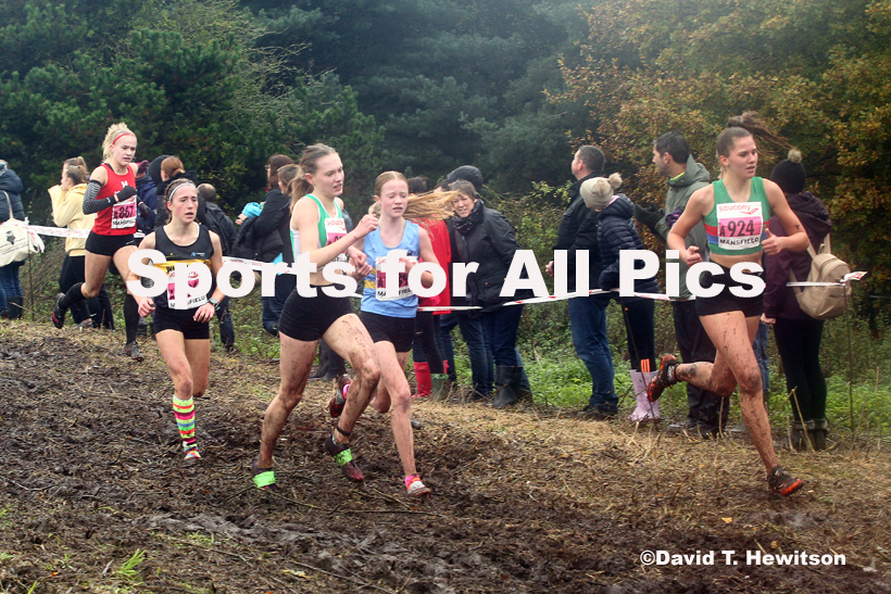 Girls under-15s, National Cross Country Relay Champs., Berry Hill Park, Mansfield.  Photo: David T. Hewitson/Sports for All Pics